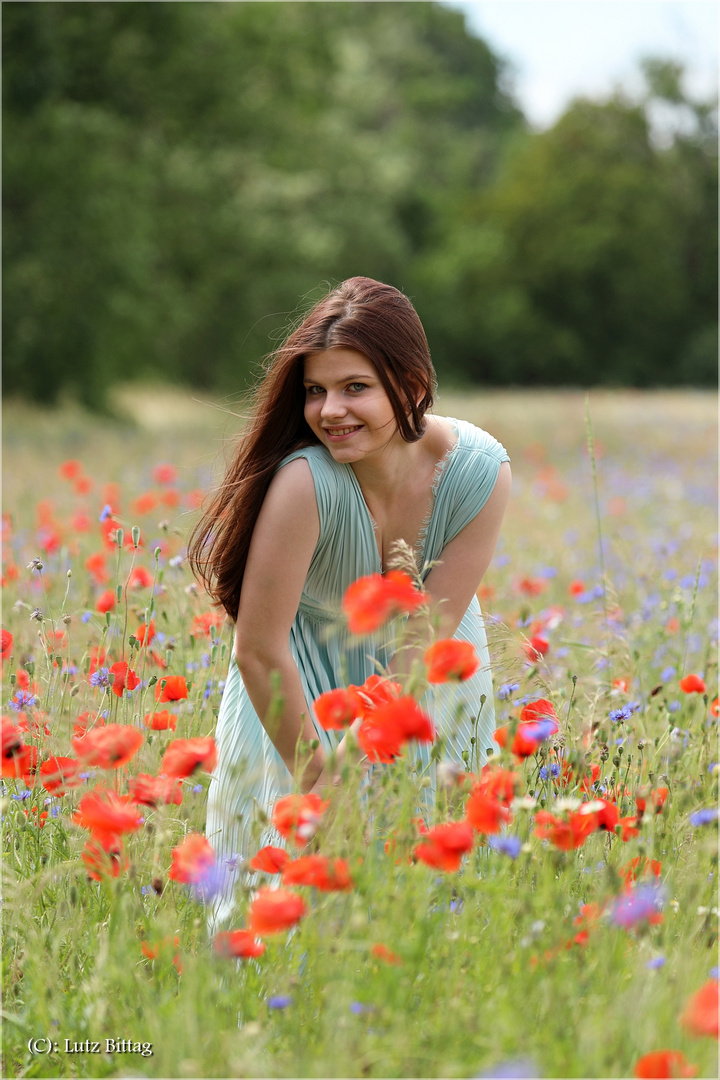 Mädchen im Mohn