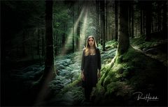 Mädchen im Wald .....
