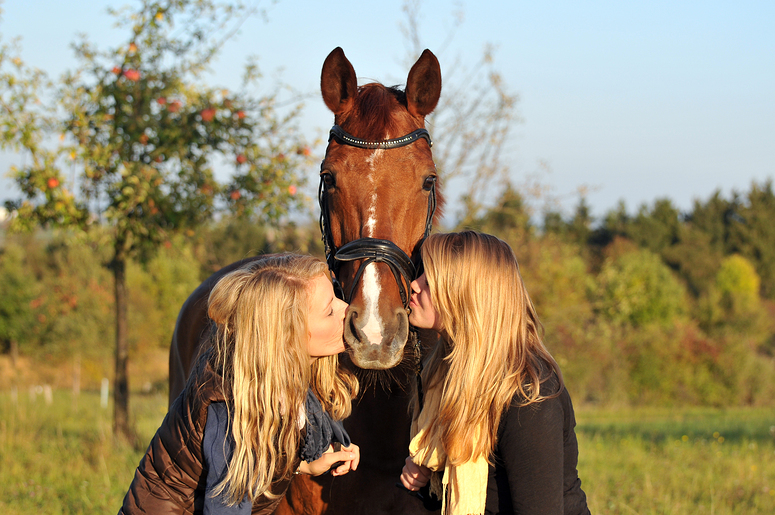 Mädchen lieben Pferde Foto & Bild tiere, haustiere, pferde, esel