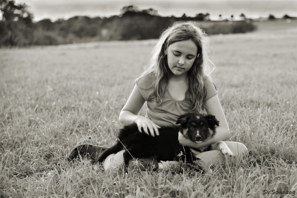 Mädchen mit Border Collie Welpen