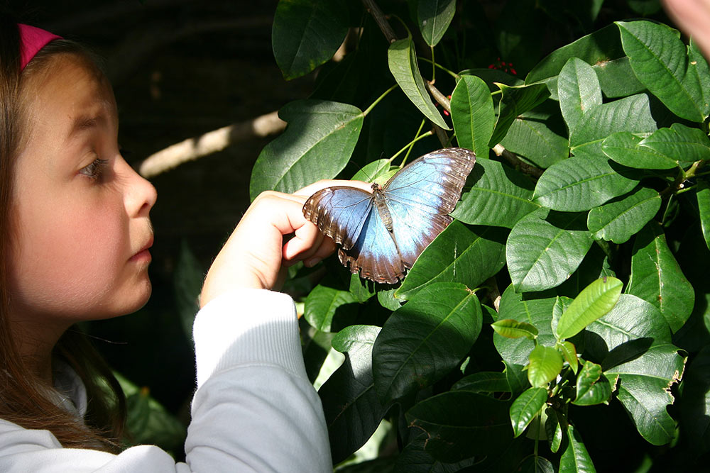 Mädchen mit Schmetterling