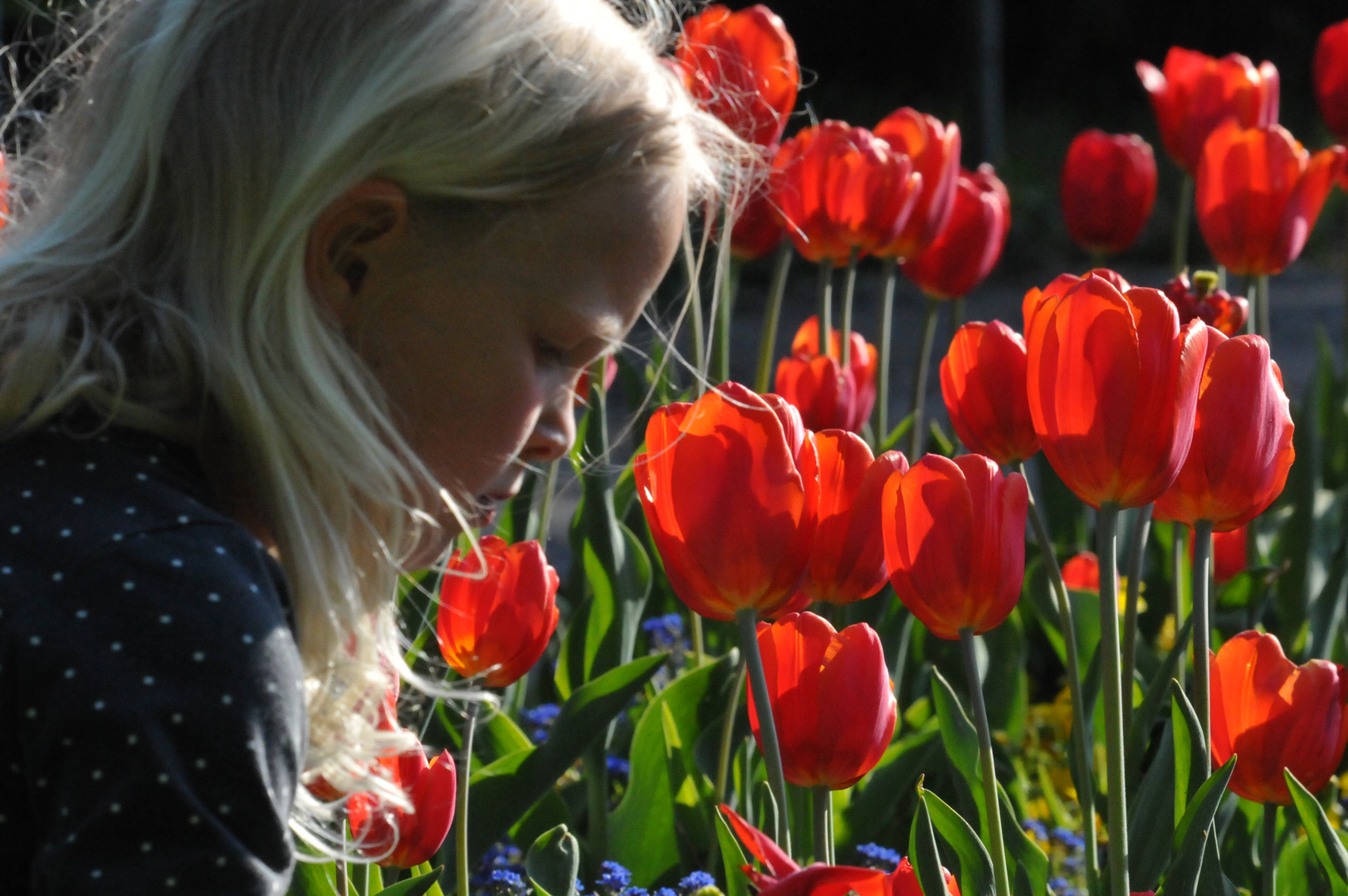 Mädchen mit Tulpen