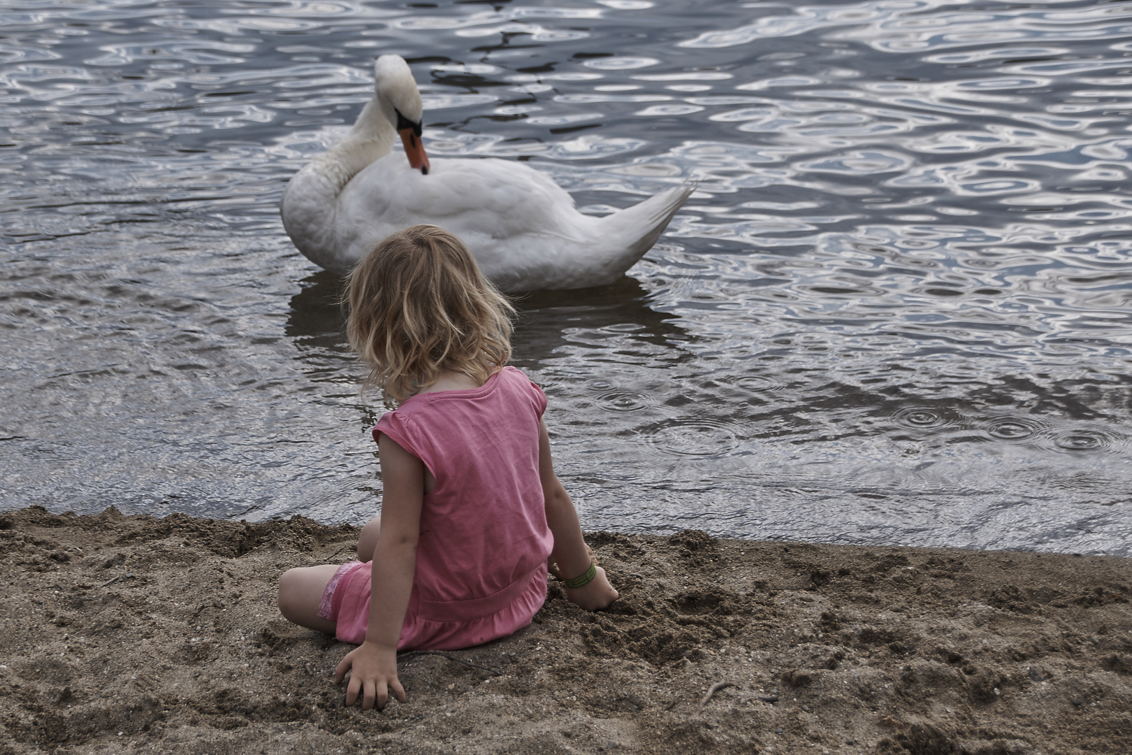 Mädchen trifft Schwan / Girl Meets Swan