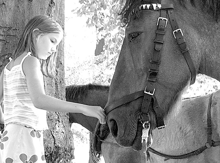 Mädchen und Pferd