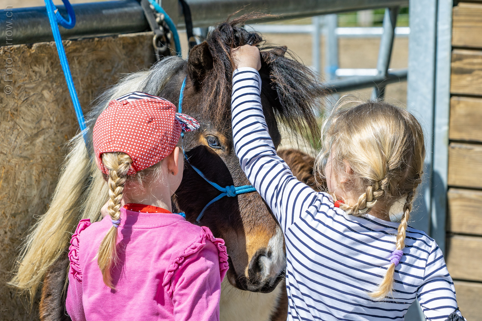 Mädchen und Pony