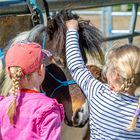 Mädchen und Pony