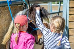 Mädchen und Pony