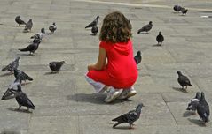 Mädchen und Tauben auf dem Markusplatz