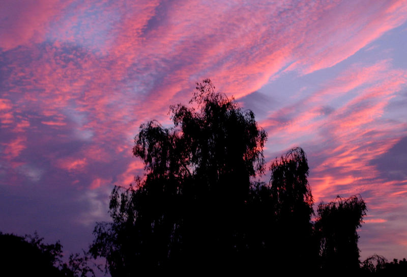 Mädchentraum-Morgenhimmel