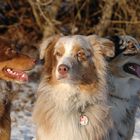 Mädels Augen rechts - Bub Augen links