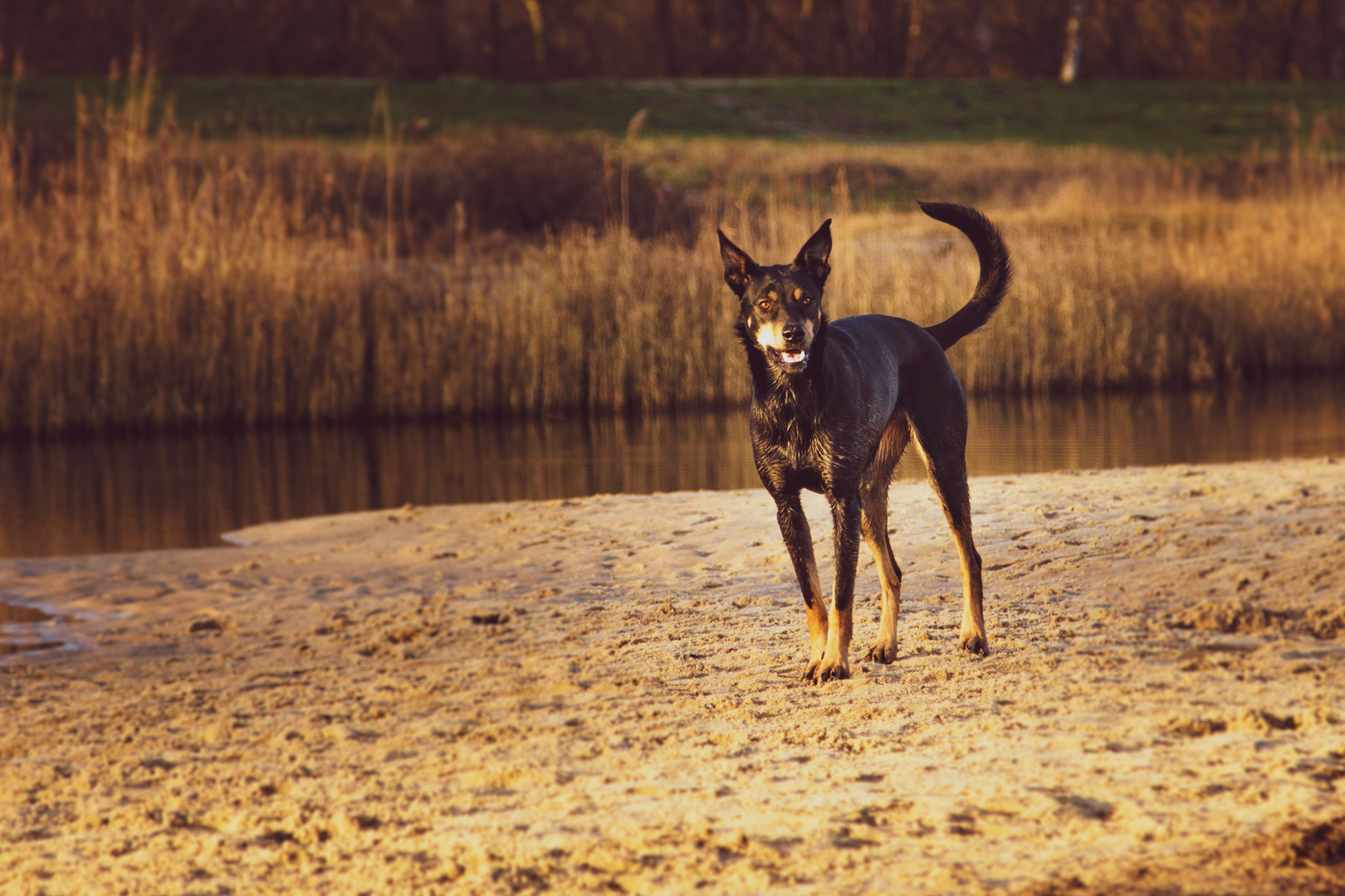 Mäggi am Strand