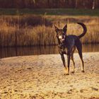 Mäggi am Strand