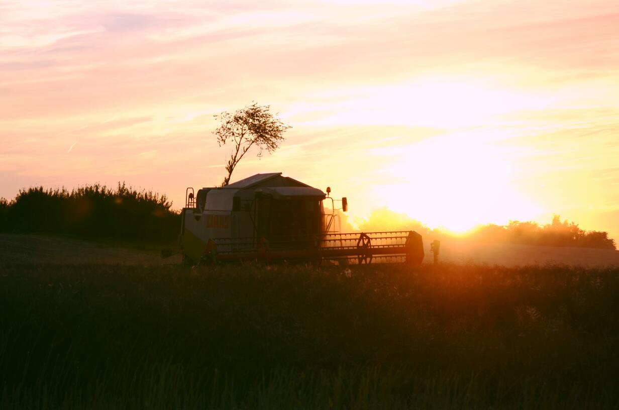 Mähdrescher am Abend