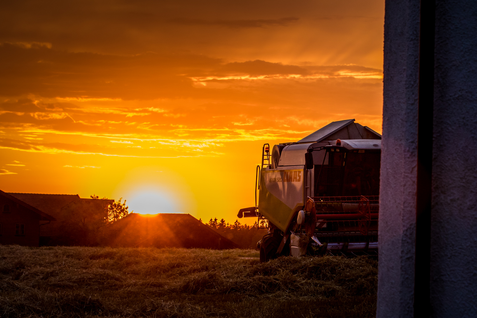 Mähdrescher im Sonnenuntergang