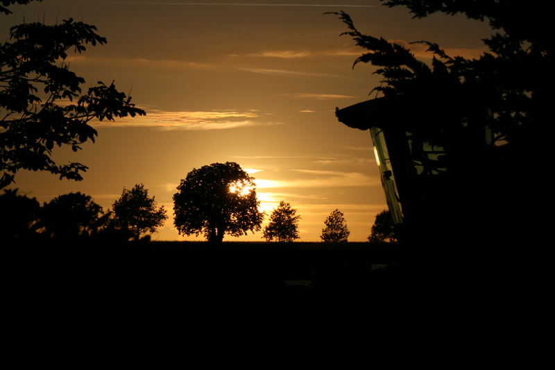 Mähdrescher im Sonnenuntergang