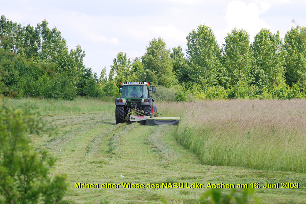 mähen einer Nabu wiese am 16.06.08