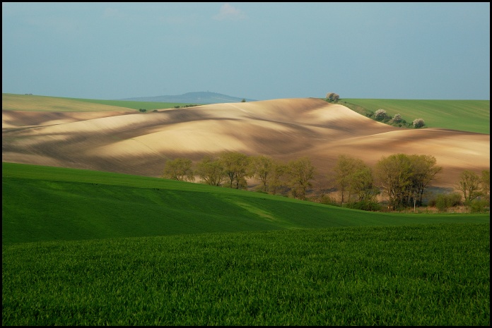 Mährische Feld.