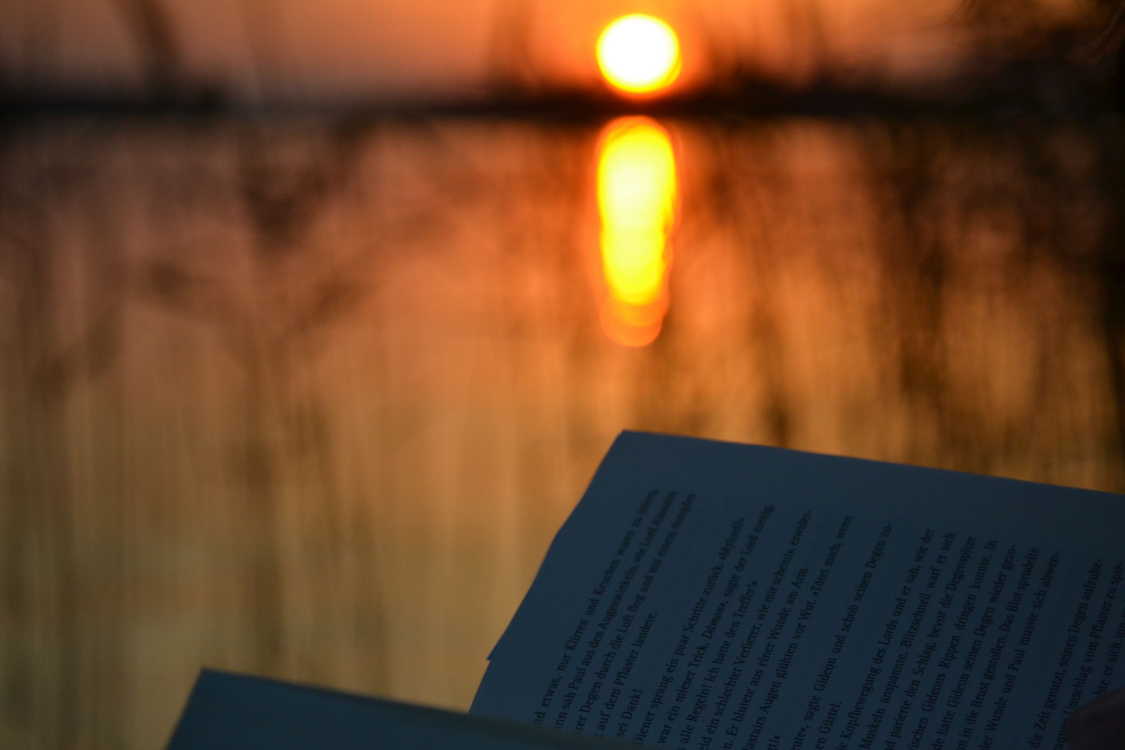 Mälarensee mit Buch