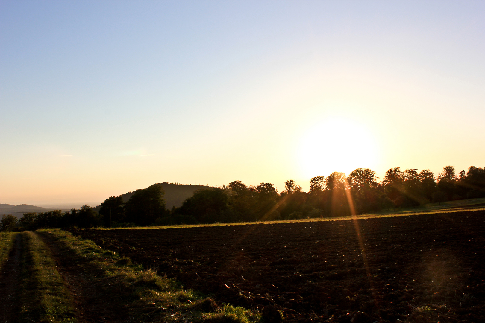 Mälscher Feld