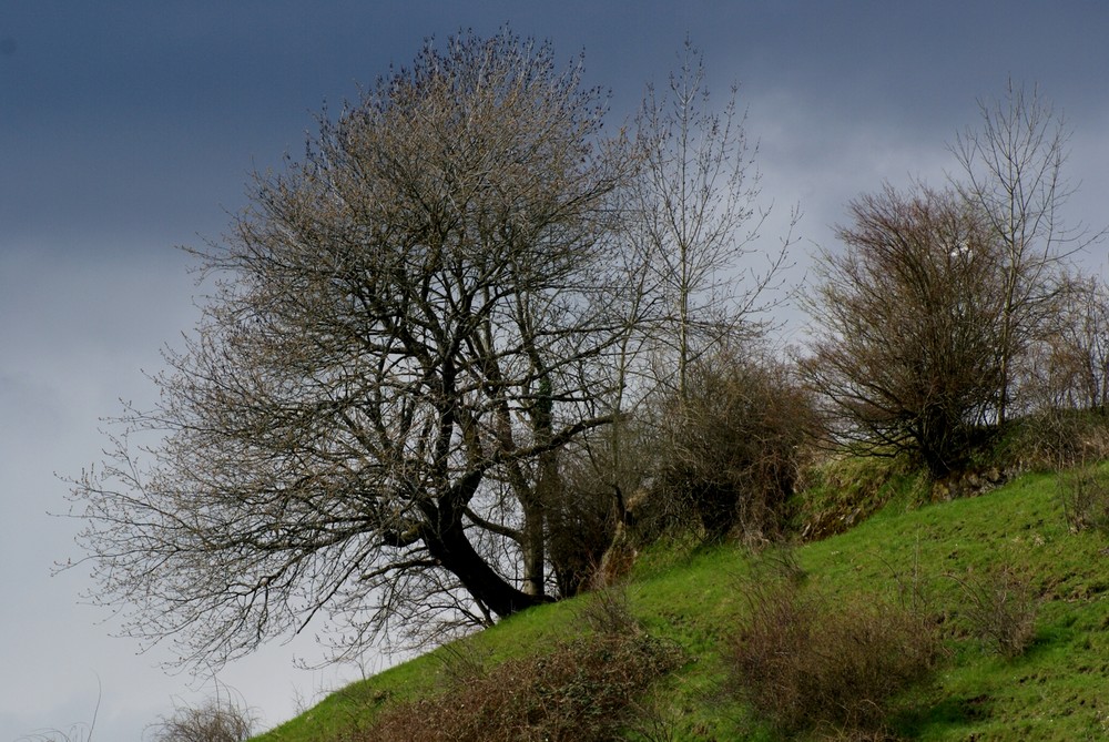 Männedorf, Ostersonntag, kurz vor dem nächsten Schneesturm