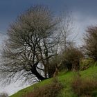 Männedorf, Ostersonntag, kurz vor dem nächsten Schneesturm