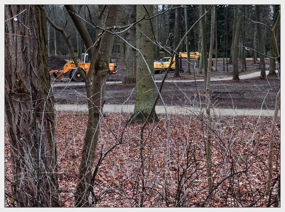 Männer allein im Wald