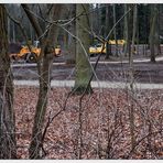 Männer allein im Wald