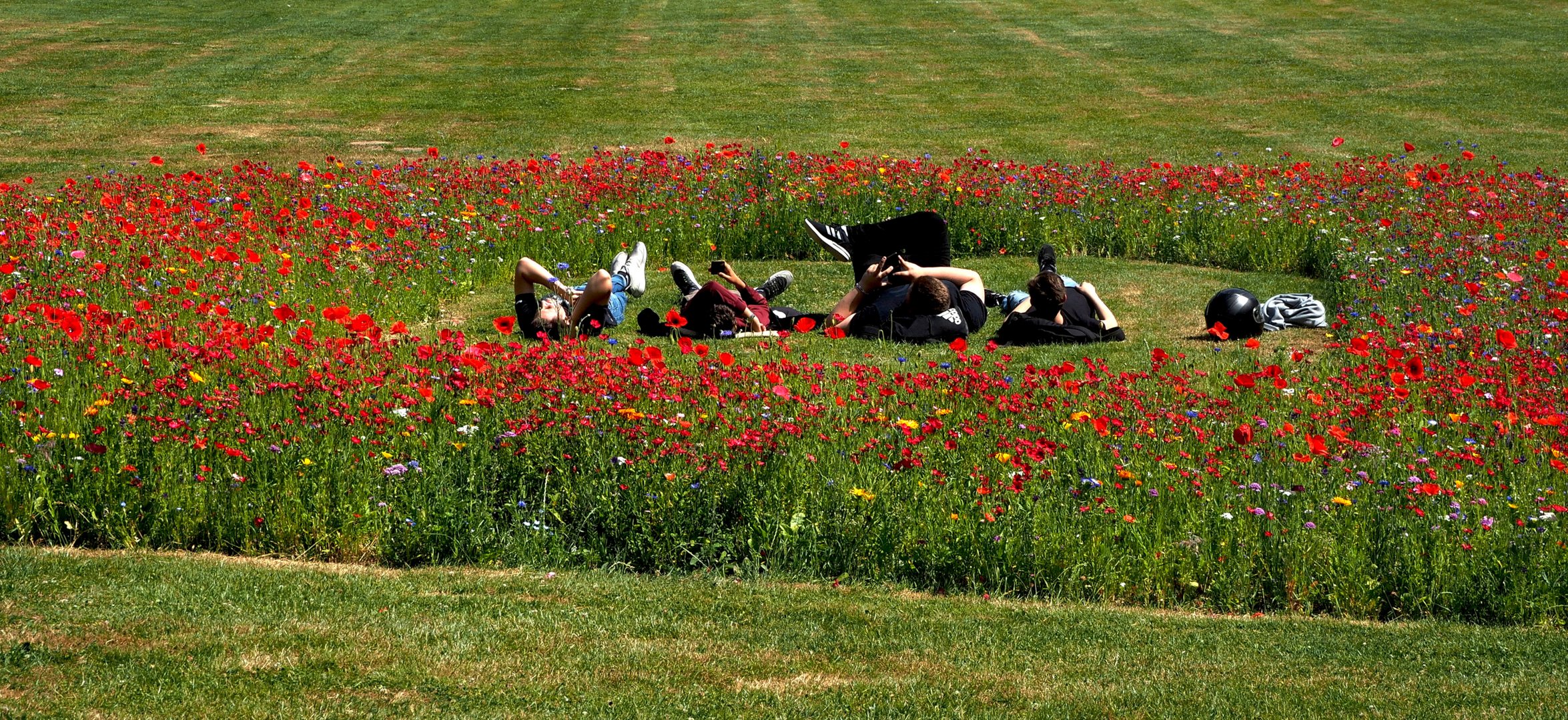 Männer sind Blumenfreunde