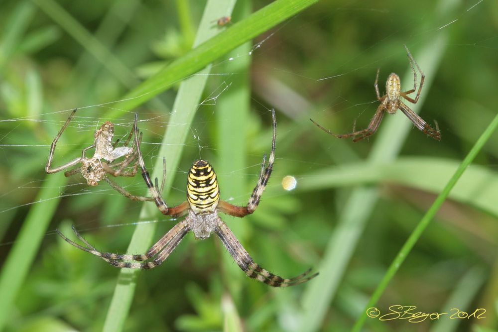 Männerbesuch