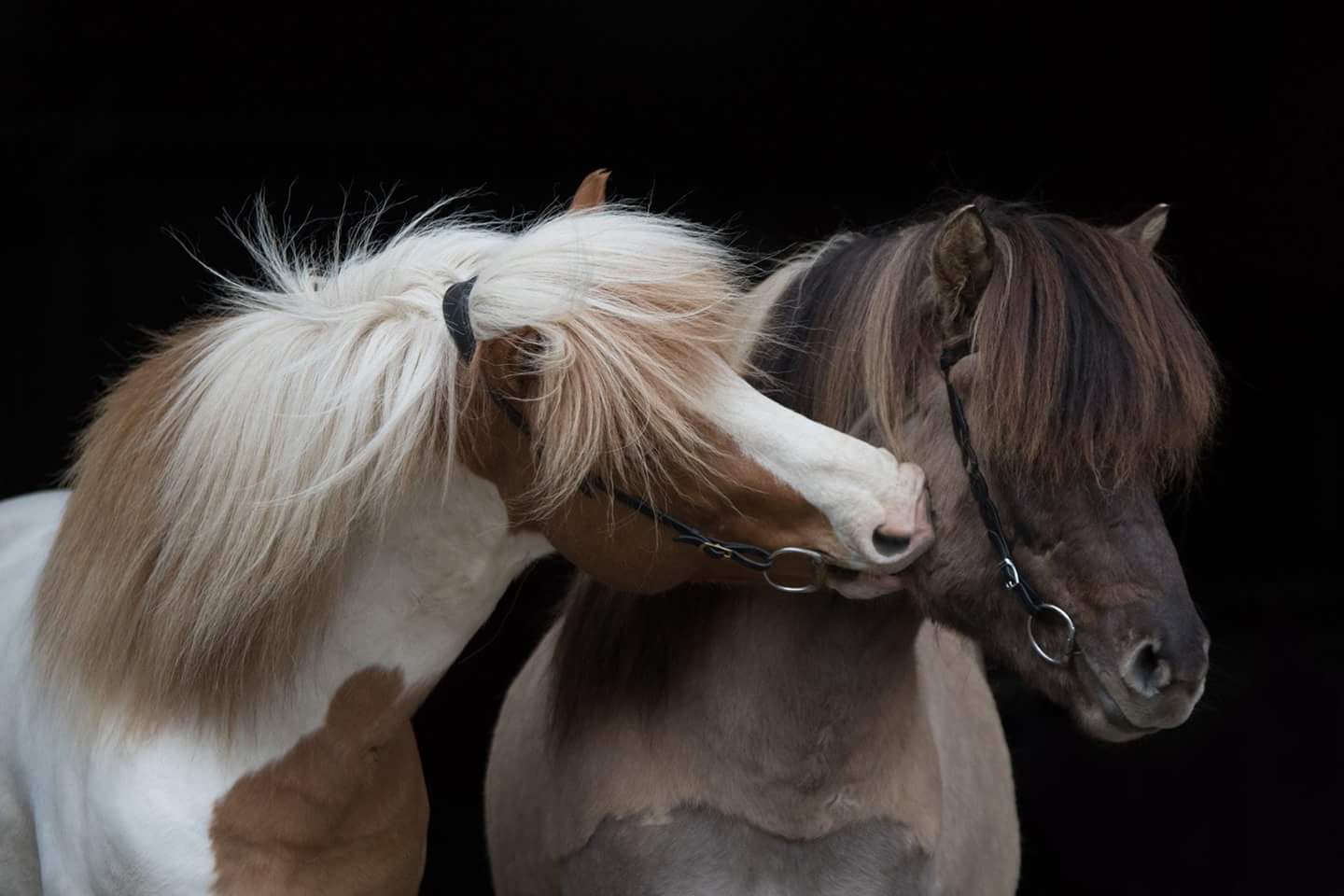 Männerfreundschaft