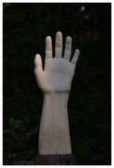 Männerhand