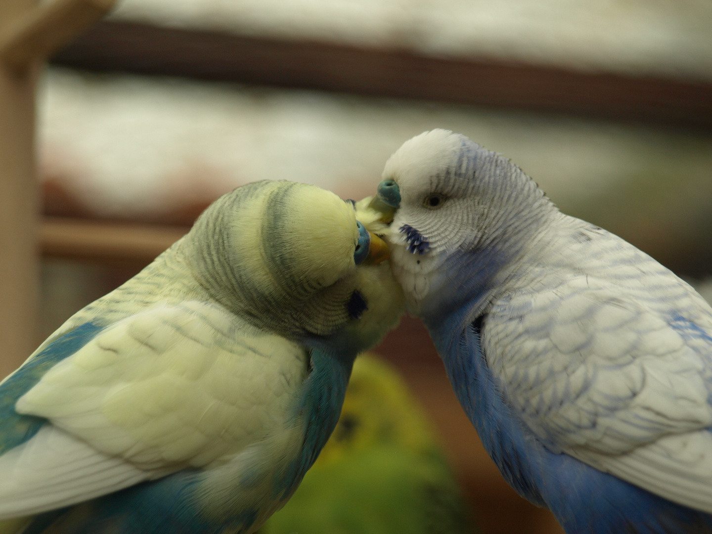 Männerliebe