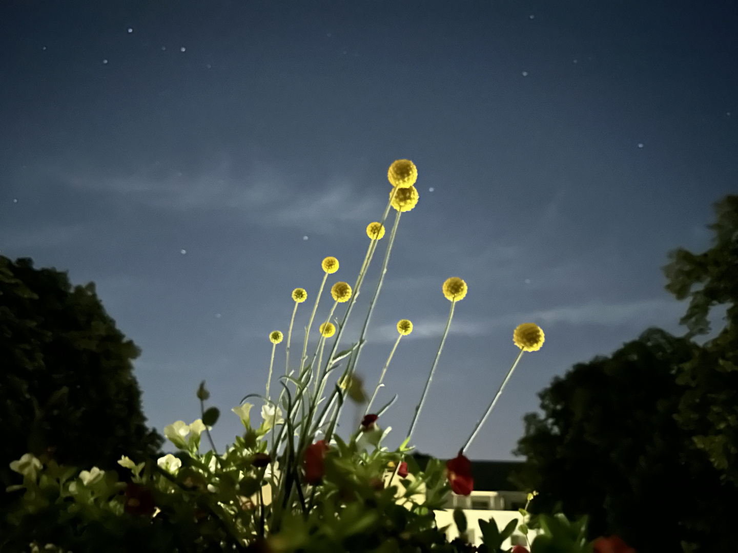 „Märchen Himmel“