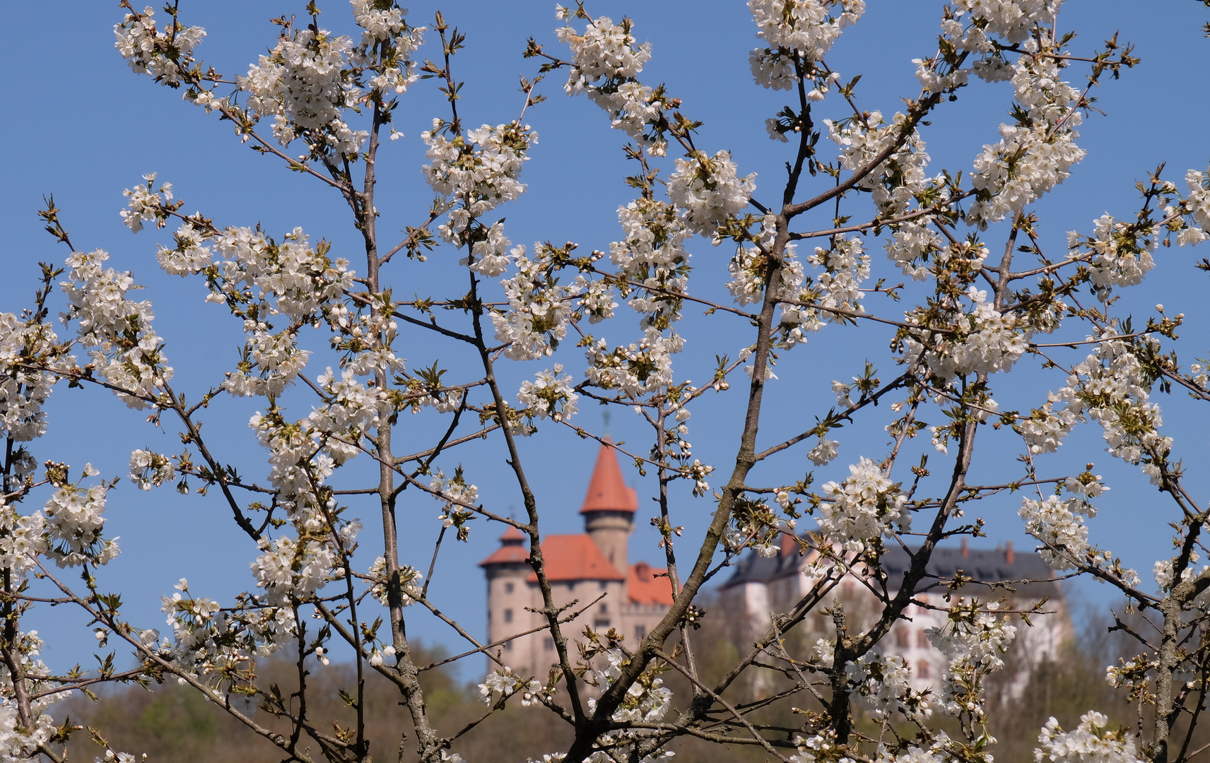 Märchen - Schloß