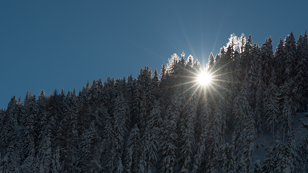 Märchenhaft nach dem vielen Schnee