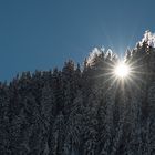 Märchenhaft nach dem vielen Schnee