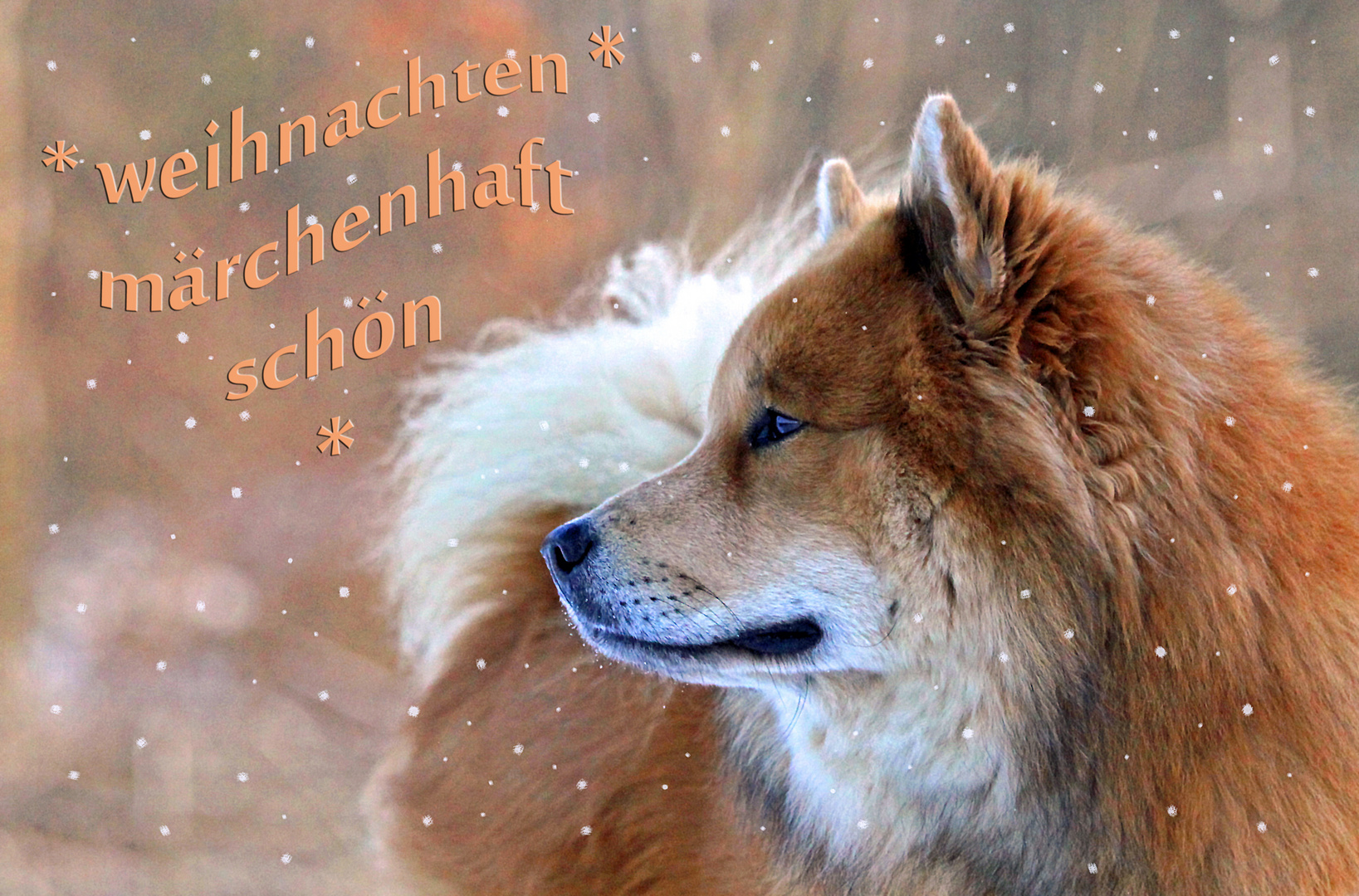 *märchenhaft schöne weihnachten*