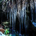 Märchenhafte Eiszapfen