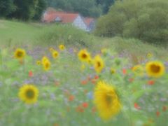 Märchenhafte Kulturlandschaft