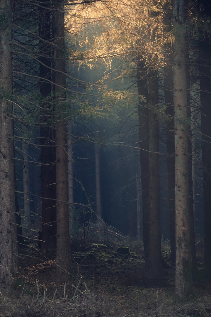 Märchenhafte Lichtstimmung