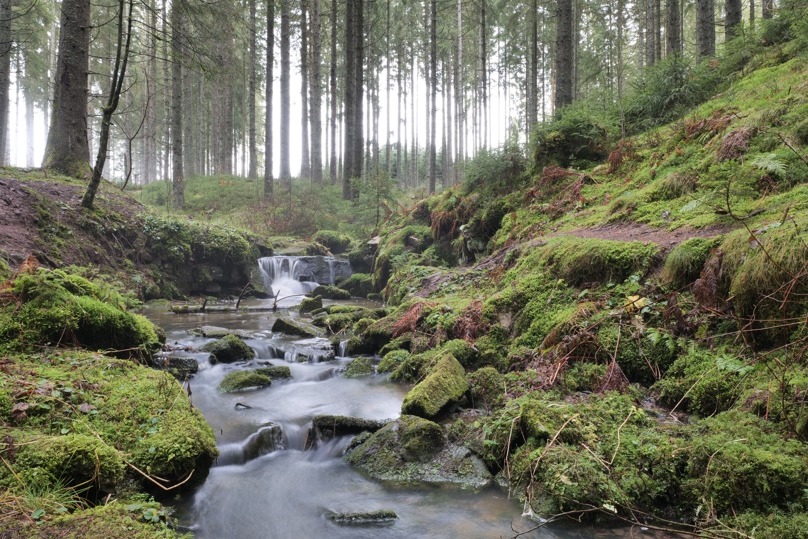 Märchenhafte Rötenbachschlucht