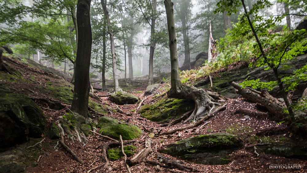 Märchenhafte Stille