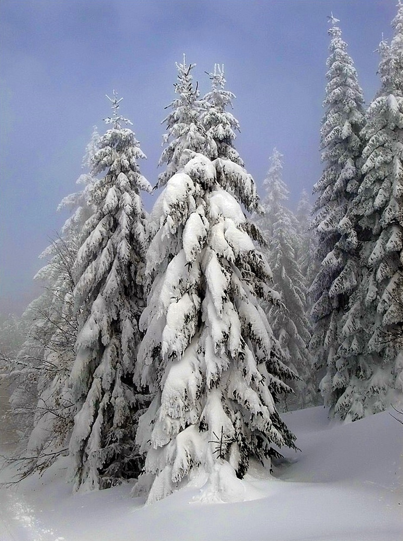 Märchenhafte Winter-Schönheit