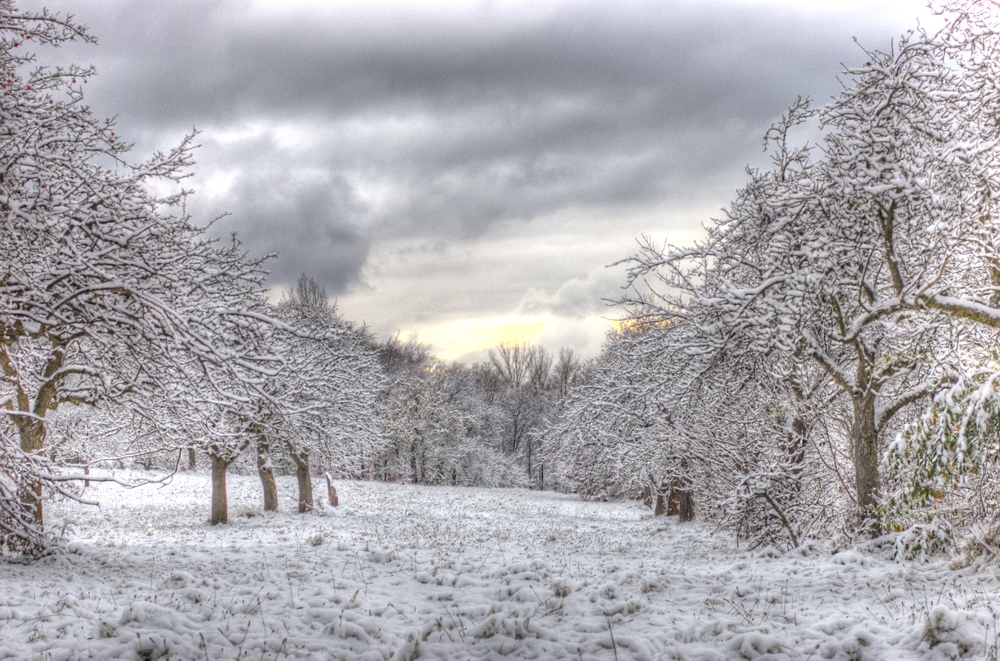 Märchenhafter erster Schnee auf dem Schwanberg