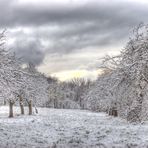 Märchenhafter erster Schnee auf dem Schwanberg