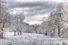 Märchenhafter erster Schnee auf dem Schwanberg von Tobias Völker