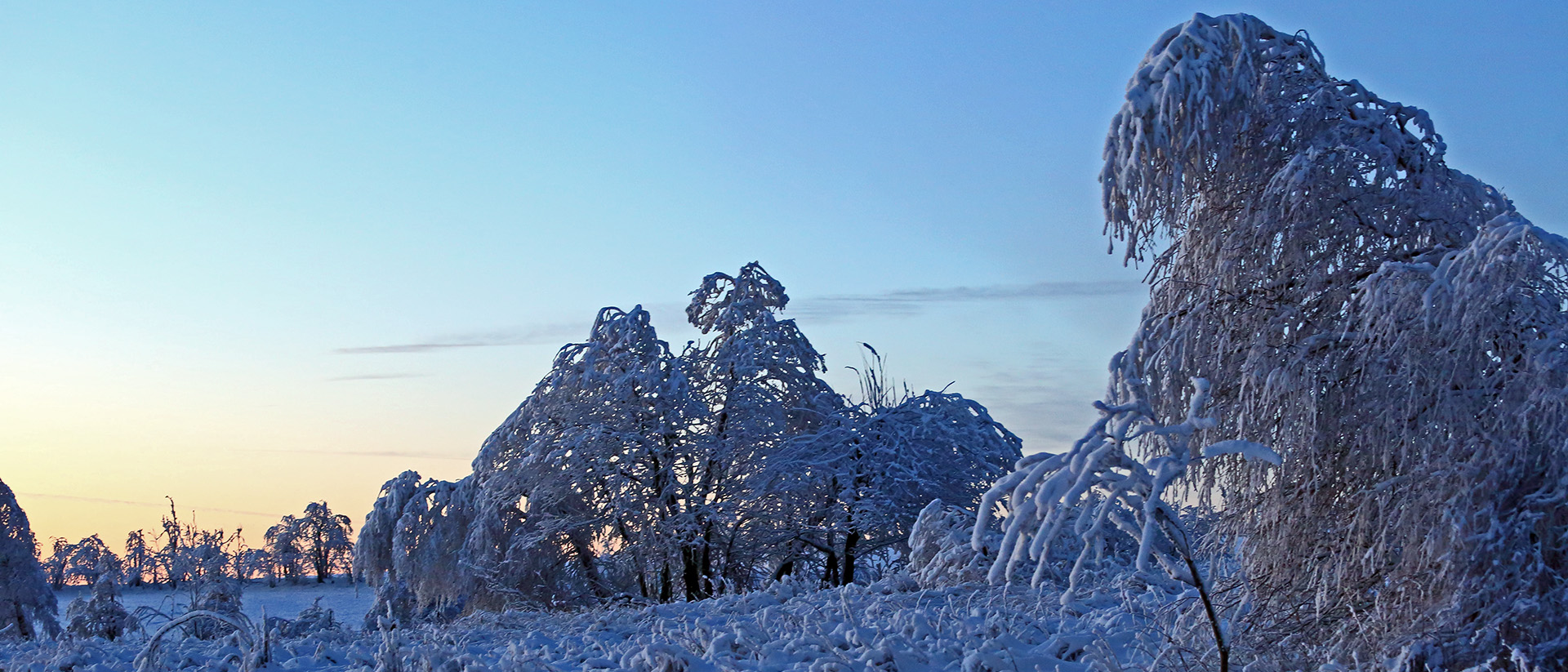 Märchenhafter Winter auf der Nollendorfer Höhe in Böhmen...