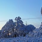 Märchenhafter Winter auf der Nollendorfer Höhe in Böhmen...