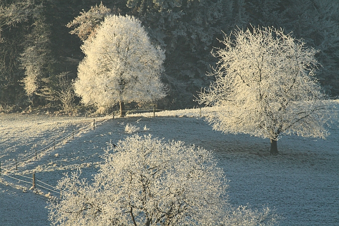 Märchenhafter Wintermorgen