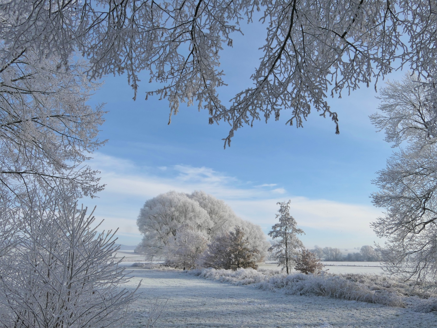 Märchenhafter Wintertag III